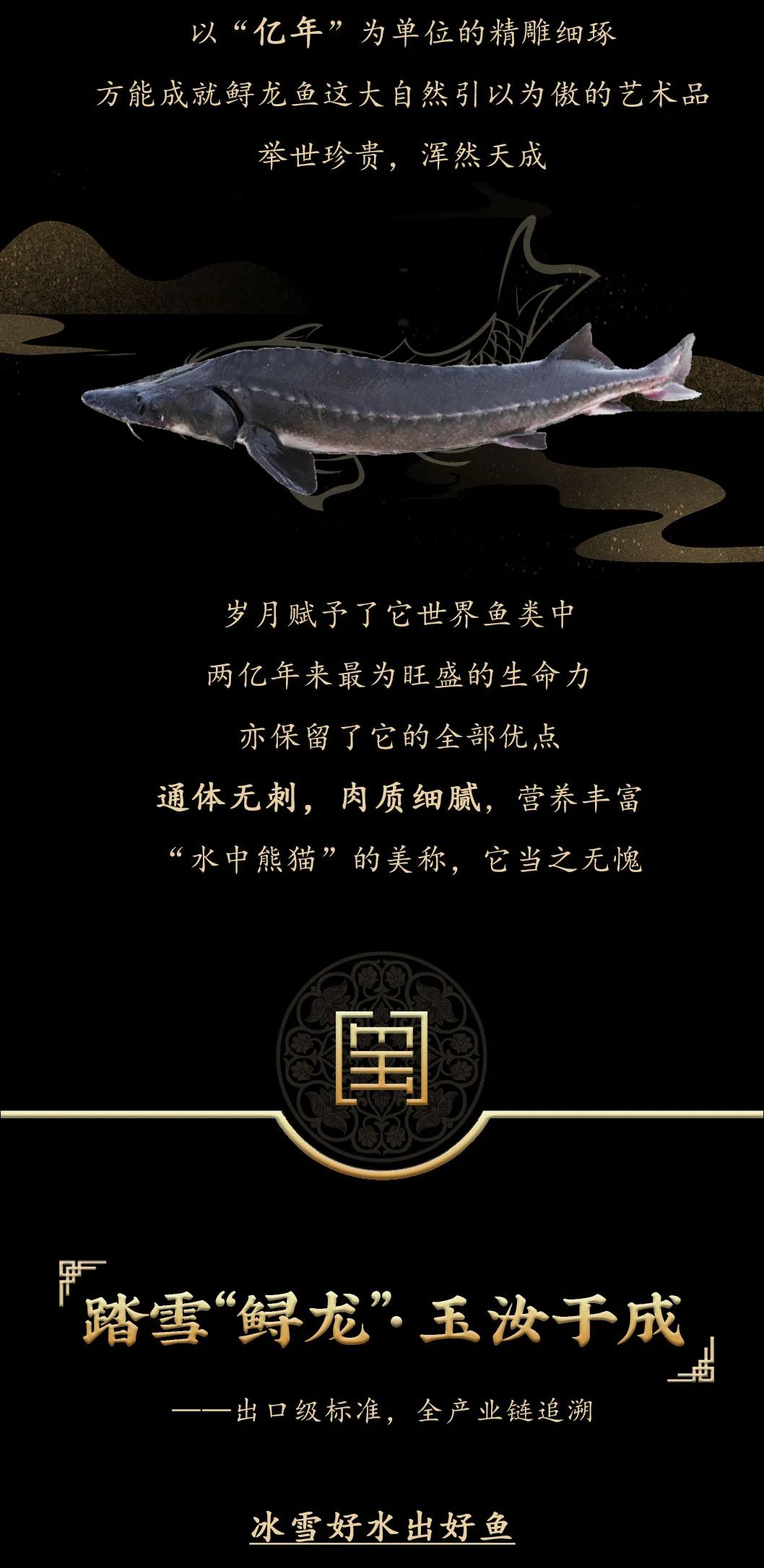九州鱘龍魚(yú)片上新 | 自然臻藏，獻(xiàn)給吃魚(yú)有講究的人